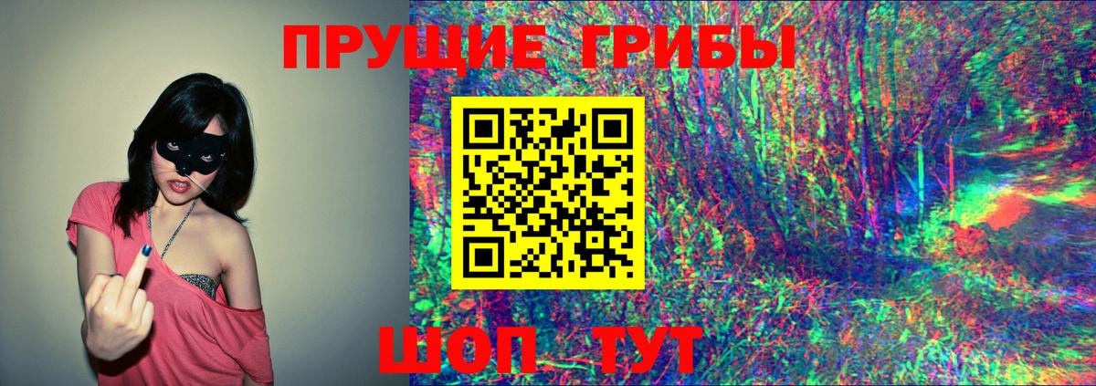 Богородицк  купить  цена  Псилоцибиновые грибы MAGIC MUSHROOMS  Вход с VPN  Псилоцибиновые грибы Cubensis 
